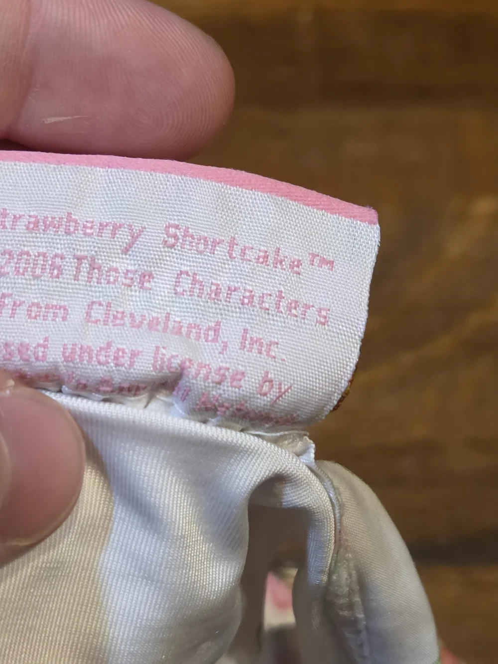Vintage y2k Strawberry Shortcake 2006 Bikini 18 M Collectable